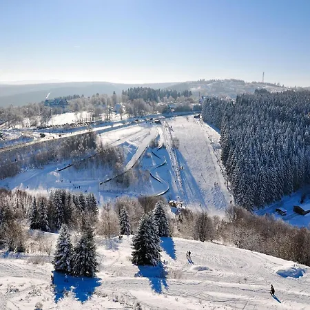 Apartament With Dishwasher, In A 500 M From The Lift Winterberg