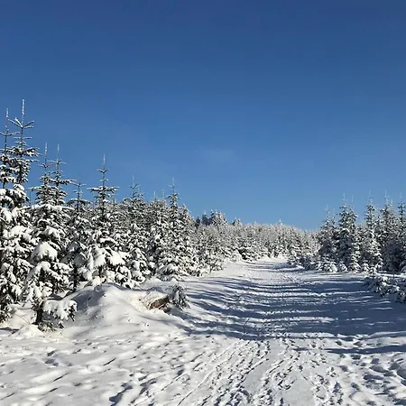With Dishwasher, In A 500 M From The Lift * Winterberg